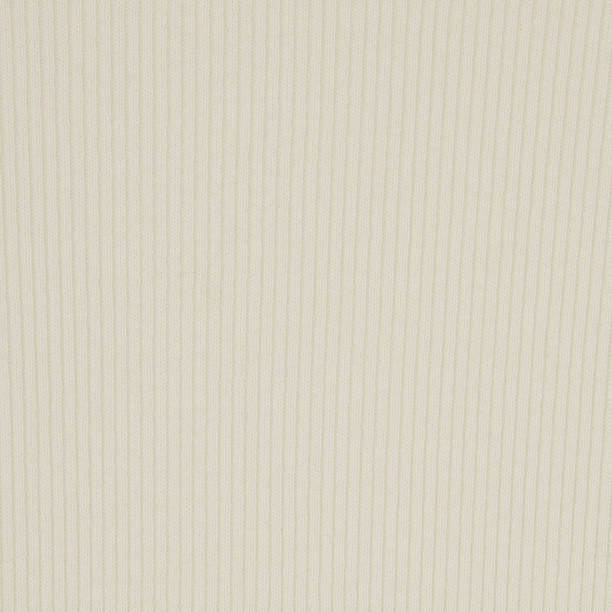 COTTON RIB THONG | BONE
